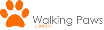 London Walking Paws